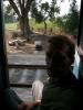 2009-11-20_11h-20min-16s-Jaipur-Varanasi.jpg