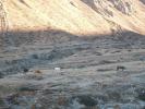 2010-01-07_09-07-58-Trekking-a-5000m.JPG