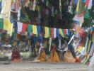 2010-01-13_09-53-06-Lumbini.JPG