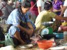 2010-02-03_09-59-17-Cambodge--Koh-Kong.JPG