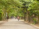 2010-04-16_13-12-44-Hue.JPG